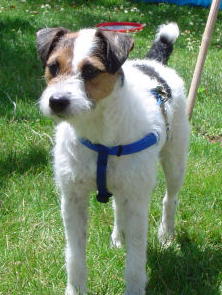 Murphy